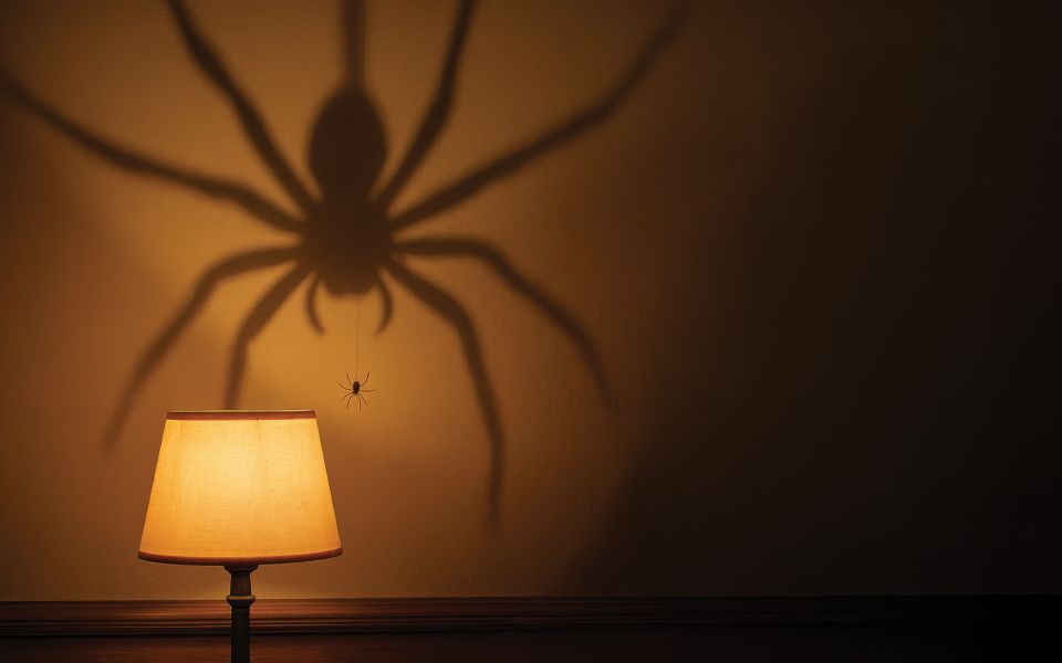When Fear Steers the Soul: Navigating Life Beyond Imagined Dangers