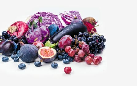 Anthocyanins and Their Role in Our Colorful World